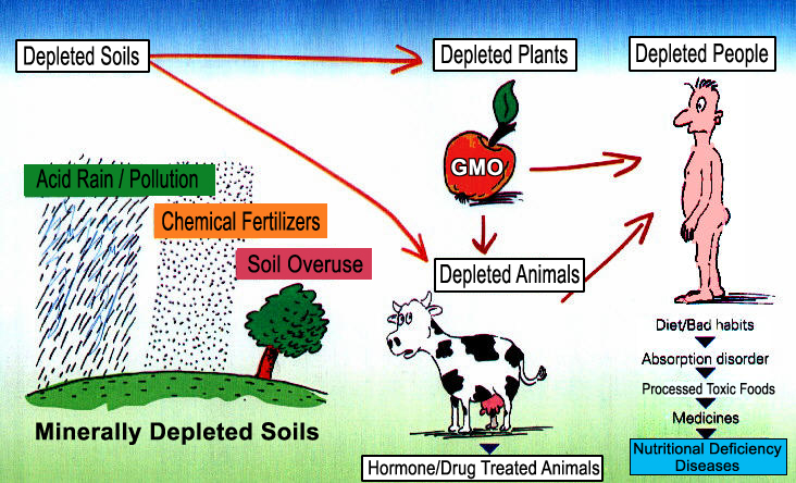 What Causes Nutrient Depletion