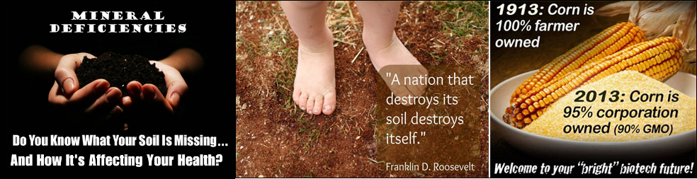 Soil Depletion Header