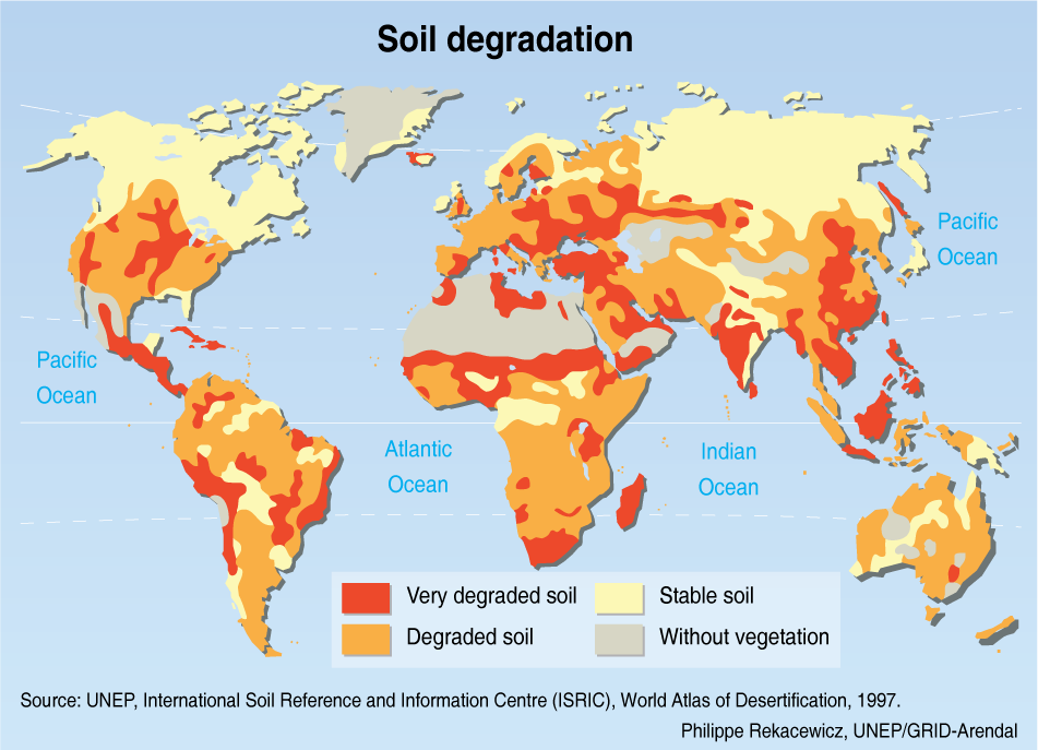 UNEP Soil Degradation Research Summery