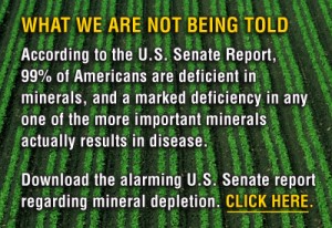 US Senate Report