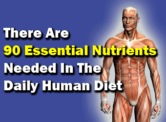 90 Essential Nutrients