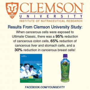 Clemson Ultimate Classic Results