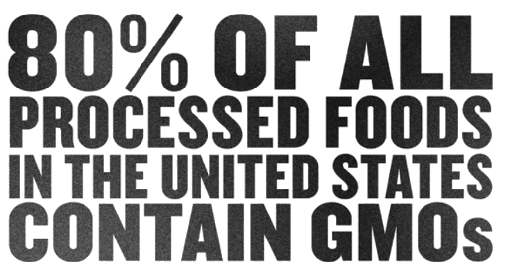 Processed Food 80 Percent GMO