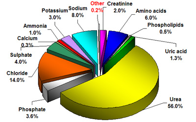 Composition of Urine